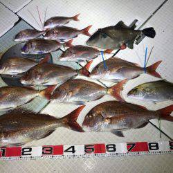 ふじしめ丸 釣果