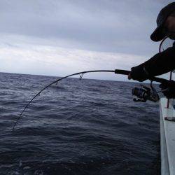 海晴丸 釣果