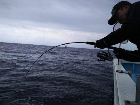 海晴丸 釣果