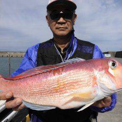 大進丸(新潟) 釣果