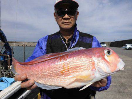 大進丸(新潟) 釣果