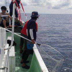 遊漁船 新鋭丸 釣果