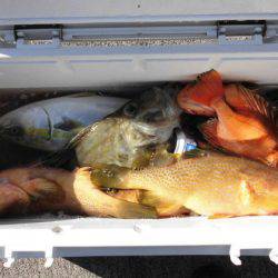 大進丸(新潟) 釣果