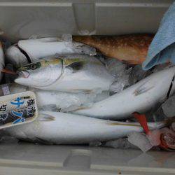 大進丸（新潟） 釣果