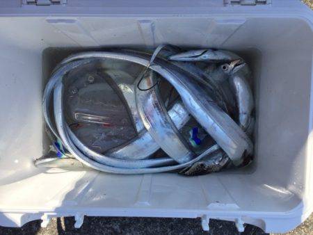 遊漁船高橋 釣果