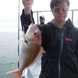 遊漁船 幸友丸 釣果