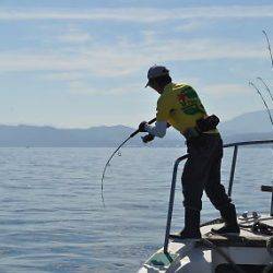 八海丸 釣果