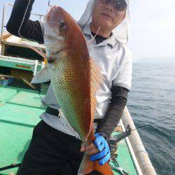 真祐丸 （しんゆうまる） 釣果