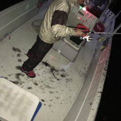 オーシャンズ 釣果