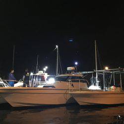 オーシャンズ 釣果