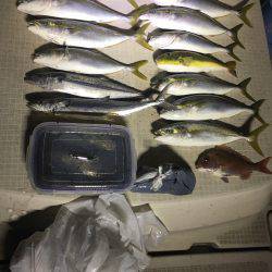 オーシャンズ 釣果