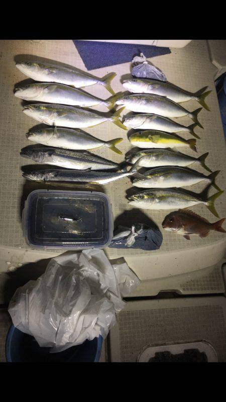 オーシャンズ 釣果