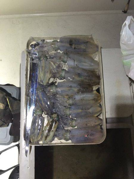 オーシャンズ 釣果