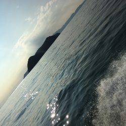 オーシャンズ 釣果