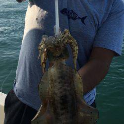 オーシャンズ 釣果