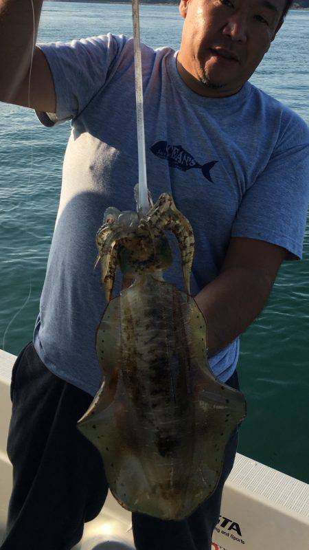 オーシャンズ 釣果