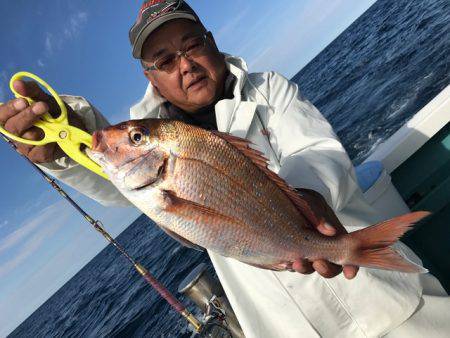 さとみ丸 釣果