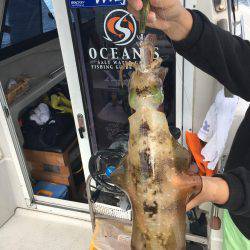 オーシャンズ 釣果