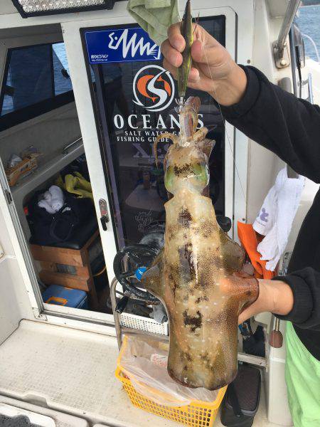 オーシャンズ 釣果