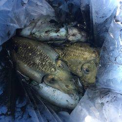 オーシャンズ 釣果