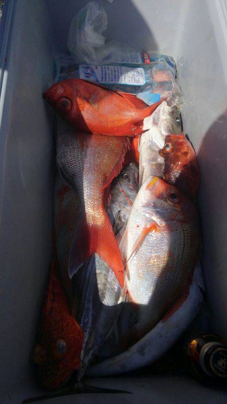 遊漁船 新鋭丸 釣果