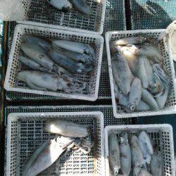 フィッシングガイド りょう 釣果