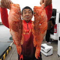 大進丸(新潟) 釣果