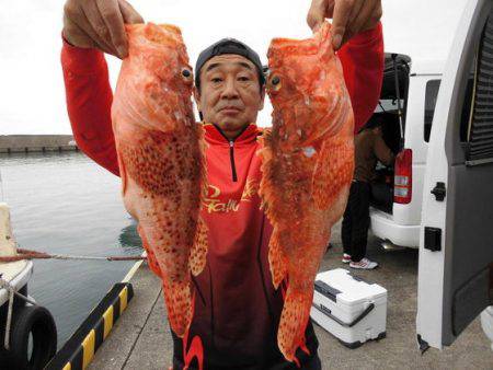 大進丸(新潟) 釣果