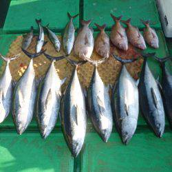 真祐丸 (しんゆうまる) 釣果