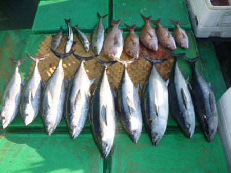 真祐丸 (しんゆうまる) 釣果