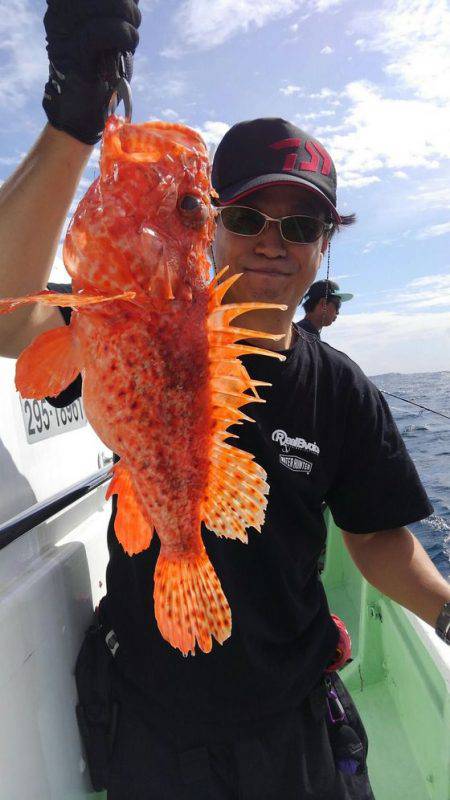 遊漁船 新鋭丸 釣果