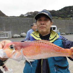 大進丸(新潟) 釣果