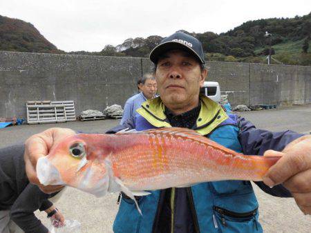 大進丸(新潟) 釣果
