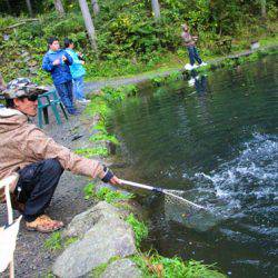 小菅トラウトガーデン 釣果