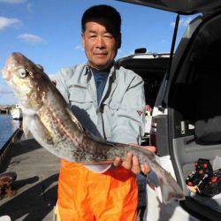 大進丸(新潟) 釣果