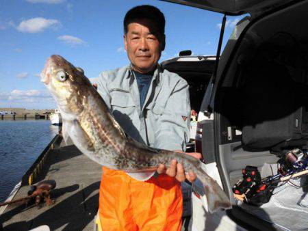 大進丸(新潟) 釣果