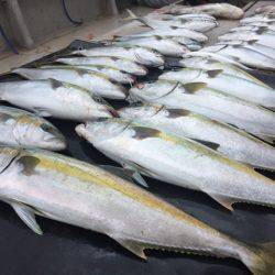 寿裕 （YOSHIHIRO） 釣果