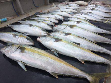 寿裕 （YOSHIHIRO） 釣果