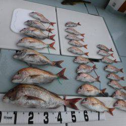 遊漁船 幸友丸 釣果