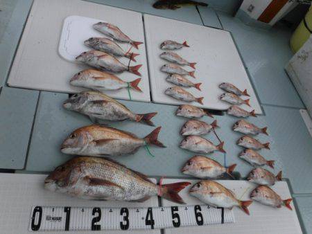 遊漁船 幸友丸 釣果