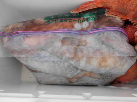 大進丸(新潟) 釣果