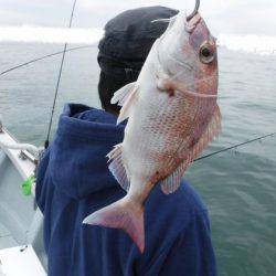 遊漁船 幸友丸 釣果