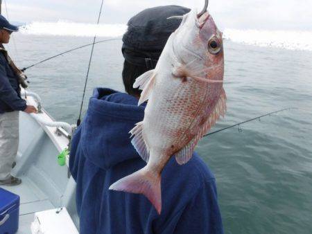 遊漁船 幸友丸 釣果