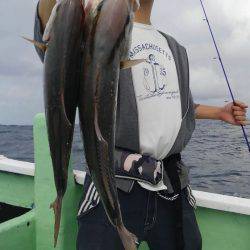 遊漁船 新鋭丸 釣果