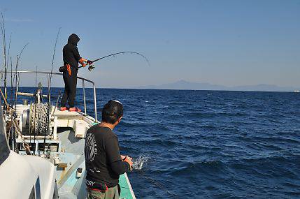 八海丸 釣果