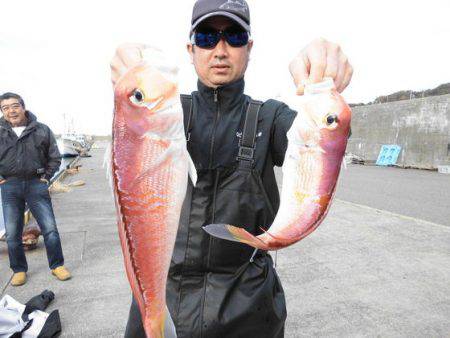 大進丸(新潟) 釣果