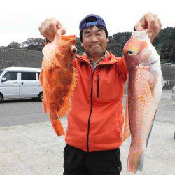 大進丸(新潟) 釣果