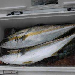 大進丸(新潟) 釣果