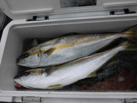 大進丸(新潟) 釣果