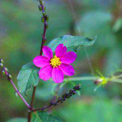 小菅トラウトガーデン 釣果